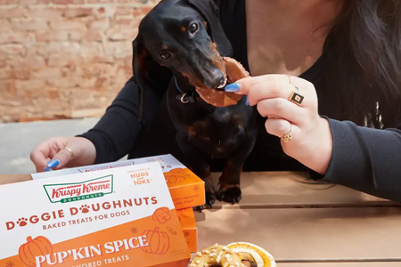 The Weirdest Pumpkin Spice Products of 2023