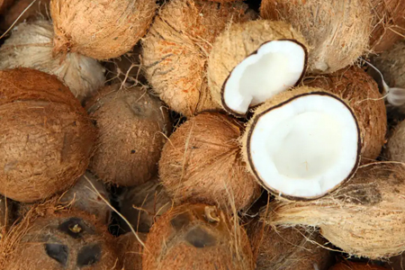 The Best Ways to Open a Coconut at Home