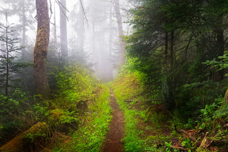 6 Legendary Beings Who Haunt America’s National Parks
