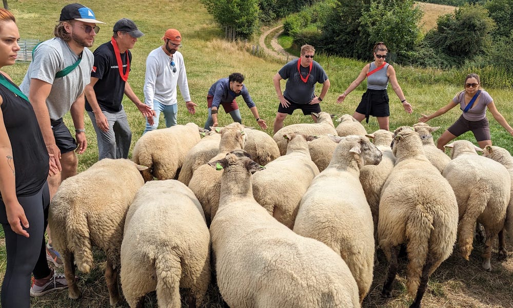 ‘The Amazing Race’ For Everyday People: Taking a Tour With Competitours