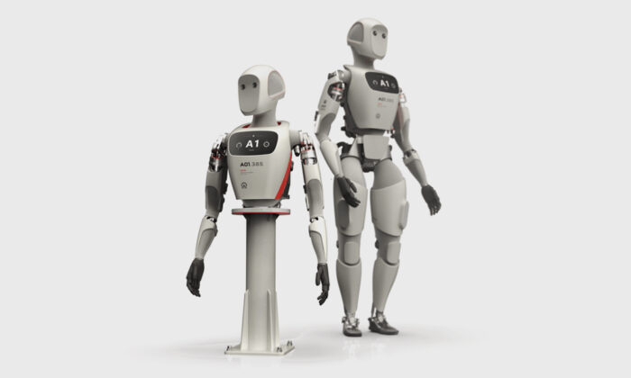 Apollo Humanoid Robot