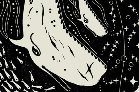 Can We Talk to Whales?