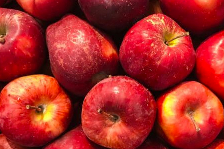 How to Use Up All Those Apples You Picked