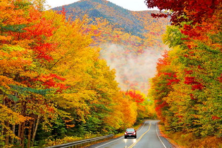 11 Scenic Drives and Hikes to Take This Fall in the US