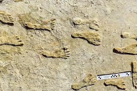 Fossil Footprints in New Mexico Suggest Humans Have Been Here Longer Than We Thought