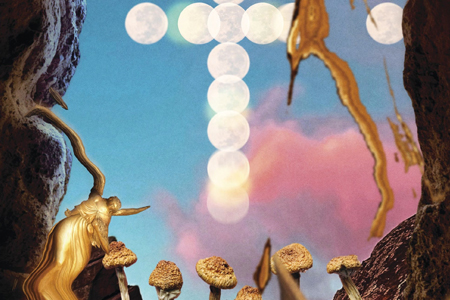 God, Magic Mushrooms, and Me