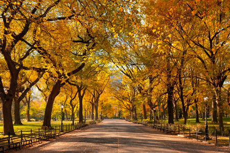 This Is the Top-Rated Tourist Attraction in the U.S.