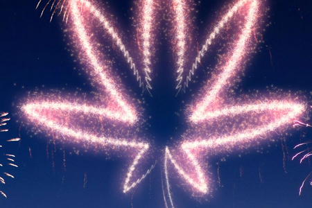 What I Saw at the Weed Fair
