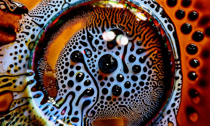 Cosmondern-IG-1