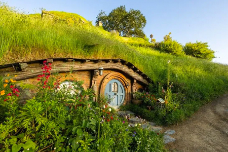 Visiting The Real Hobbiton in New Zealand