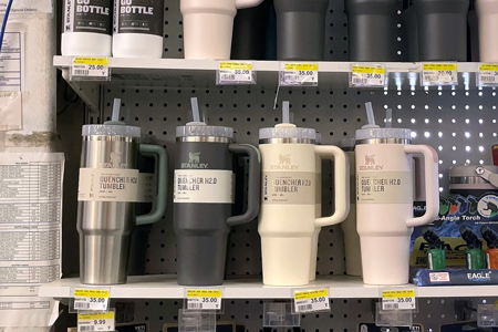 Why Did Stanley Water Bottles Suddenly Become a Cultural Phenomenon?