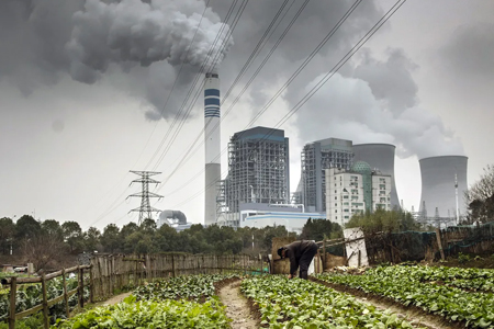 What’s the Best Diet for Planet Earth?