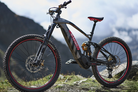 Audi Electric Mountain Bike