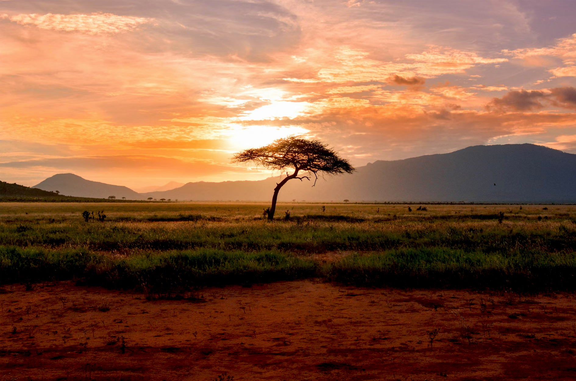 The Safari Packing Guide: 5 Must-Have Items
