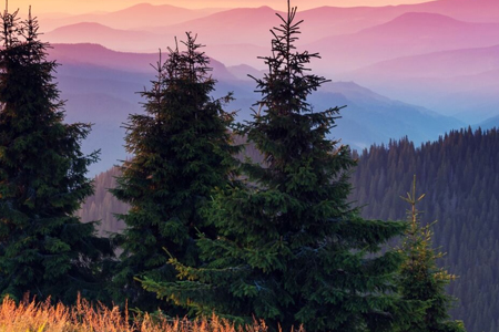 A Comprehensive Guide to all 63 National Parks in America