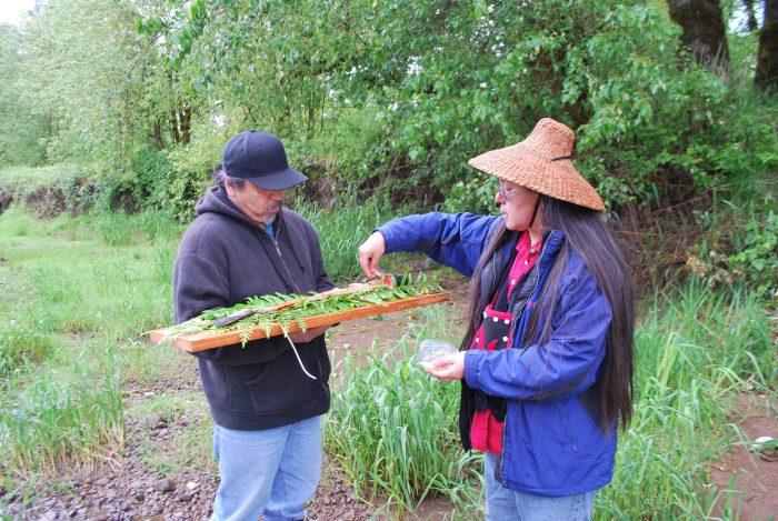 Chehalis River and FisheriesCreditChehalisEnterprises