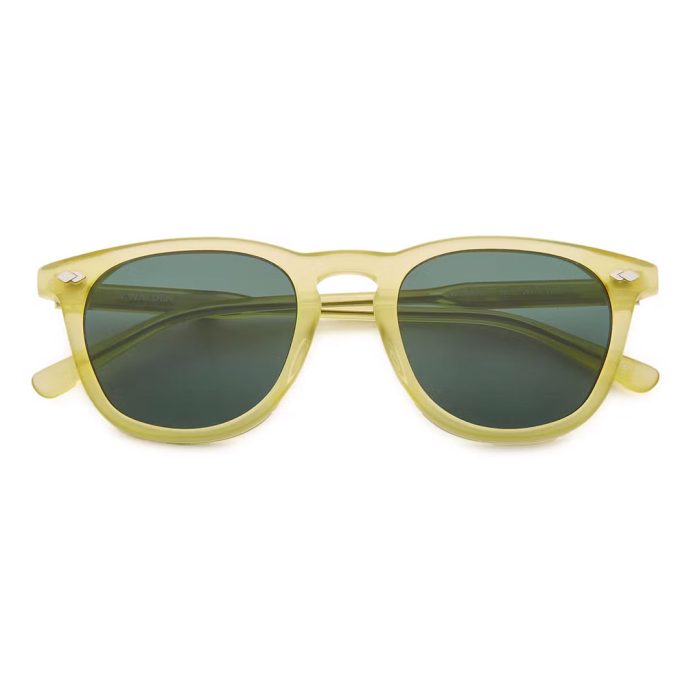 walden-eyewear-woods