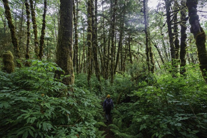 Spirit Bear Lodge-Jonathan Irish-137