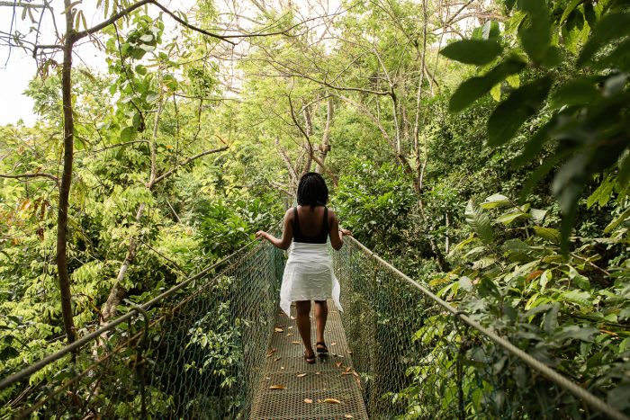 Nantipa_rainforest stroll
