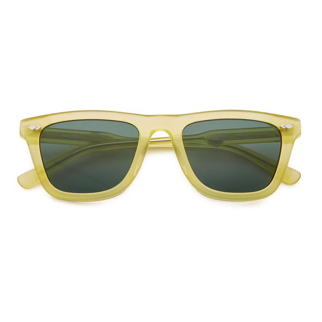 Walden Eyewear Passage Sunglasses - 50% Off