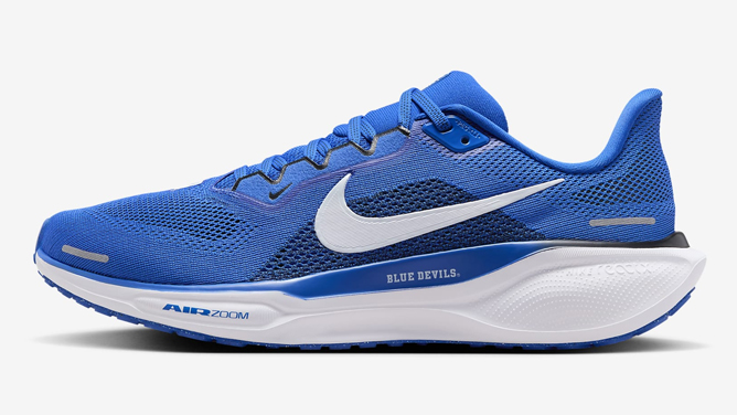 Duke Pegasus 41