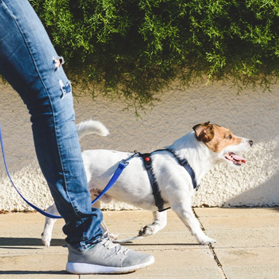 16 Simple Ways to Relieve Stress