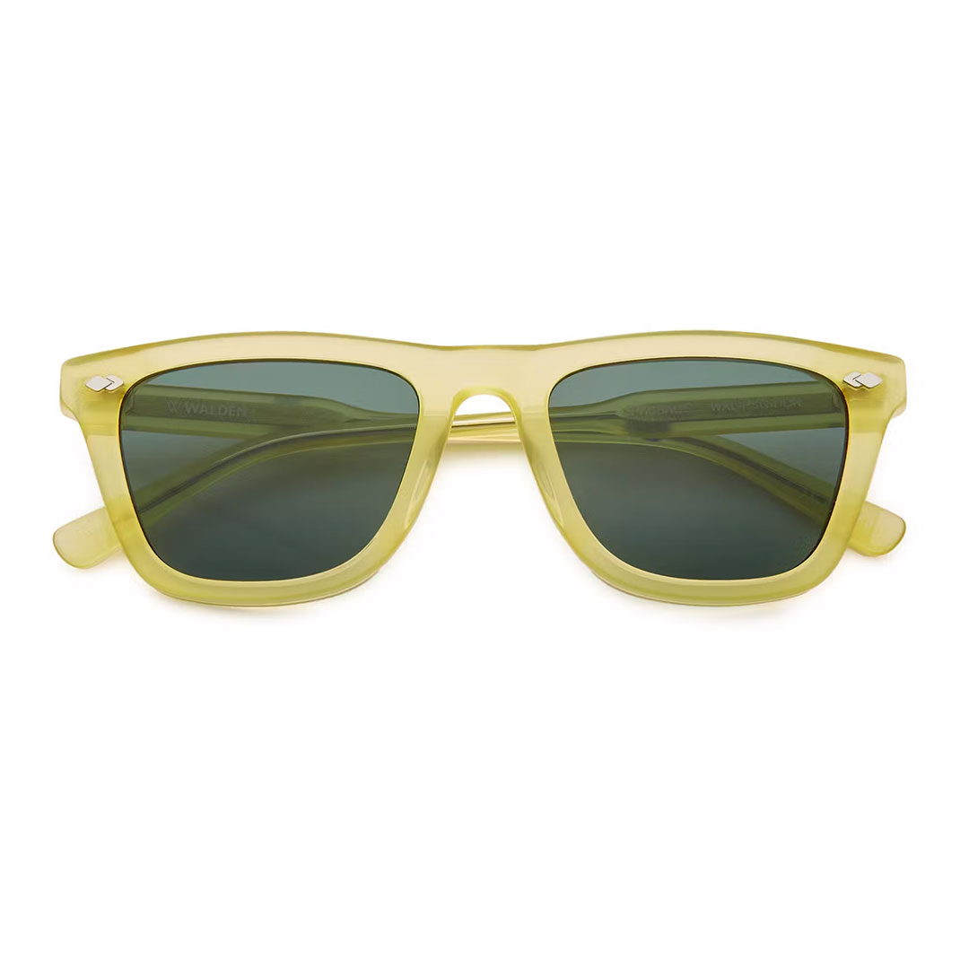 Walden Eyewear Passage Sunglasses - 50% Off