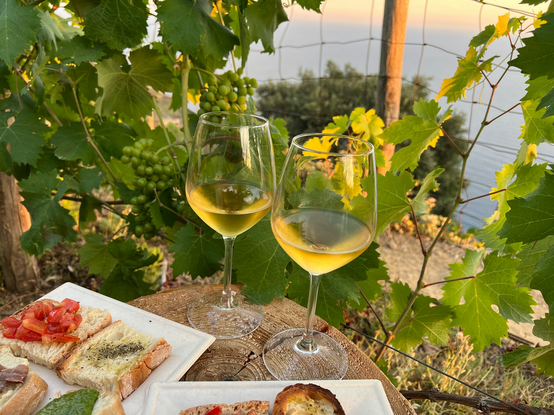 These Decadent Italian Wines Are All Under $30