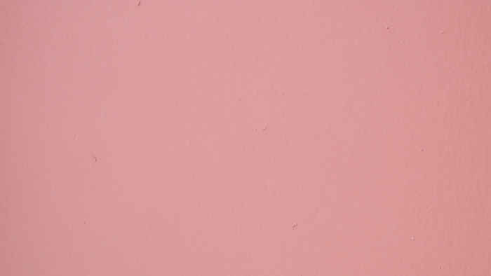 Rose Color Guide