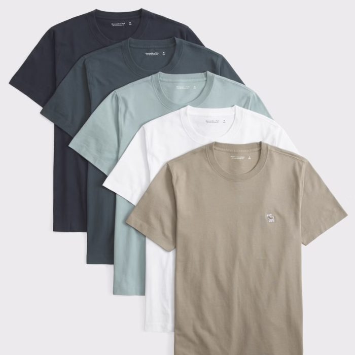 A & F 5-Pack Polished Tonal Icon Tees