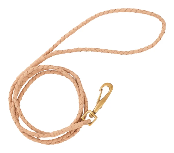 Fido Dog Lead