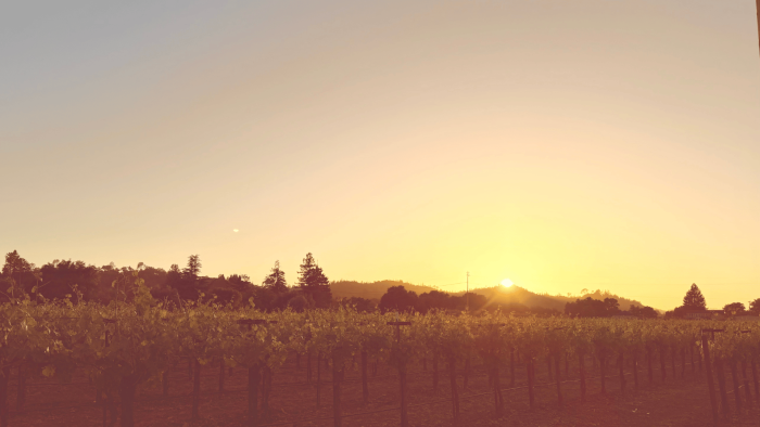 Healdsburg Travel Guide